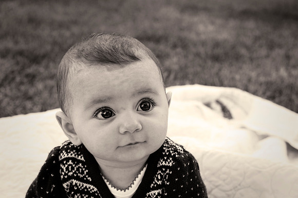 WHD_4652 bw