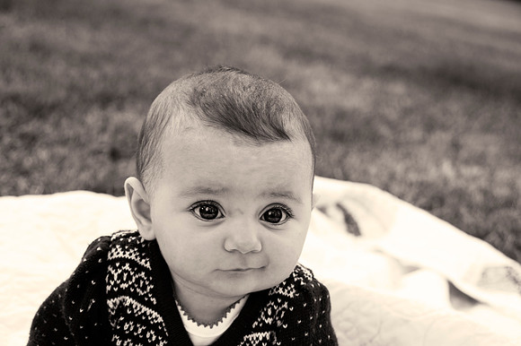 WHD_4655 bw