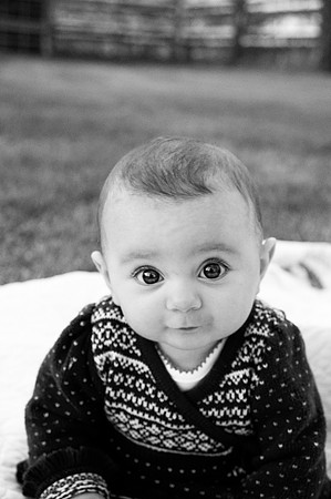 WHD_4645 grainybw
